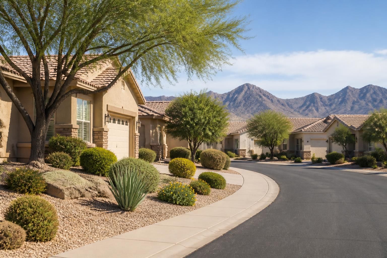 Tidy suburban homes with desert landscaping in Anthem.