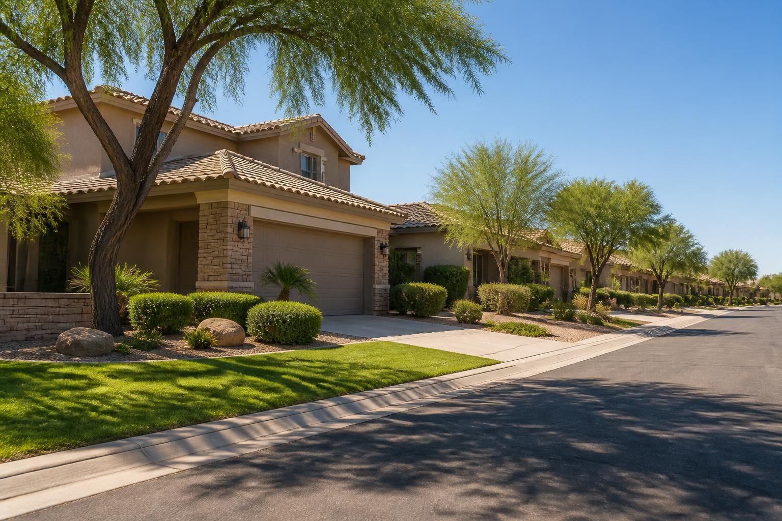Well-kept homes and desert-adapted trees in Gilbert.